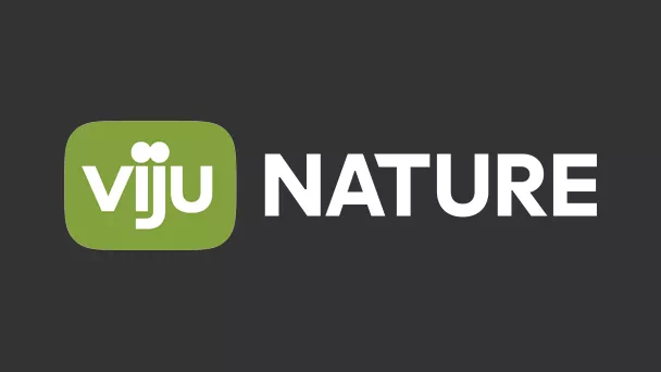 viju Nature